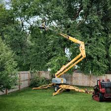 Best Leaf Removal  in Spring Hope, NC