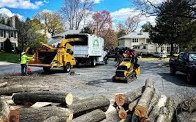Best Utility Line Clearance  in Spring Hope, NC